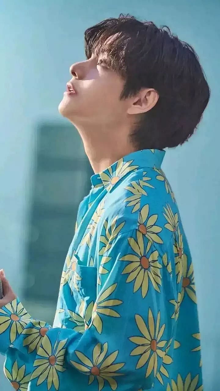 BTS STAR V-ADMIRED SUMMER SHIRTS FOR MEN