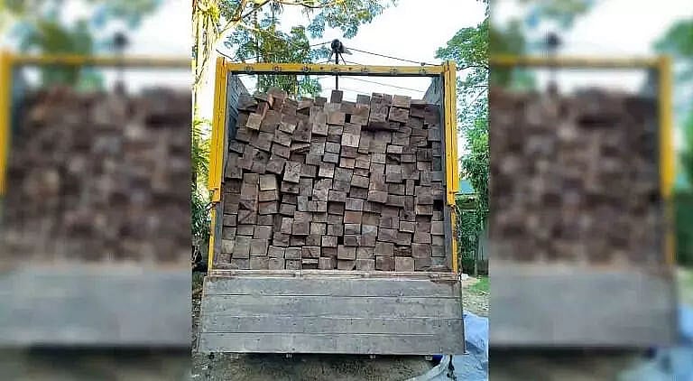 Morigaon Forest Office Seizes Illegal Teak Logs; 2 Arrested