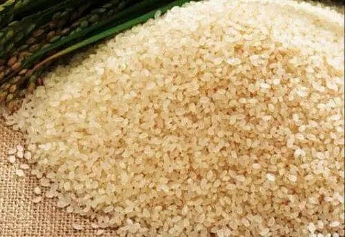 Putting farmers at core of Joha export push