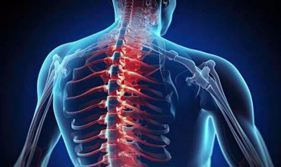 15-20% of spinal injuries in India due to road accidents: Doctor