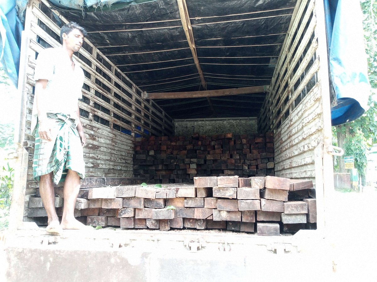 Truck Laden with Illegal Timber Seized