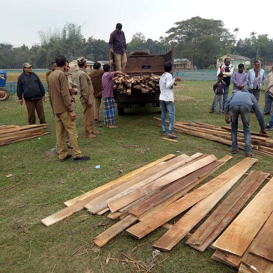 Timber seized by forest officials at Goroimari