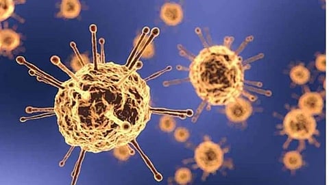 दुसऱ्या लाटेत रुग्णसंख्या वाढण्याची; 'ही' आहेत कारणे!