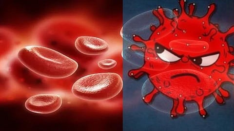 प्लेटलेट्स कमी होणं कोरोना नवं लक्षण? 
