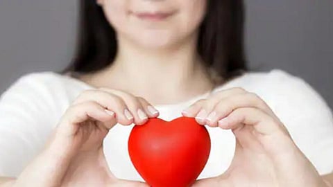 Heart