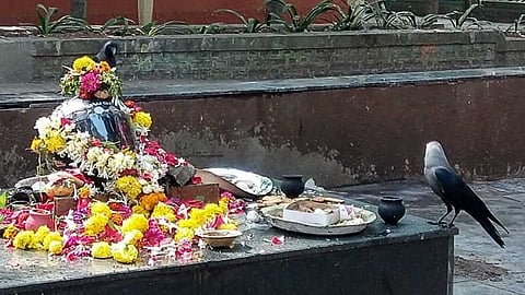 Dashkriya
