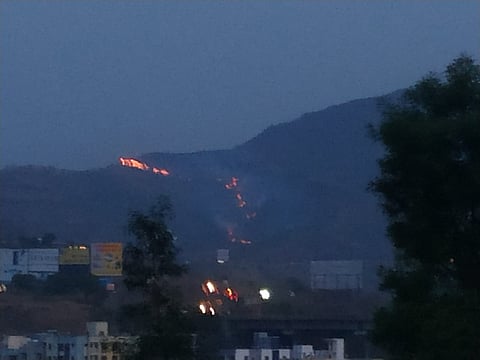पुण्यातील कोळेवाडी हद्दीत वणवा; वसुंधरा दिनादिवशीच वन्यजीवांचे अस्तित्व धोक्यात 