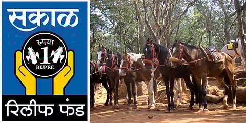Sakal Relief Fund