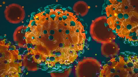 Coronavirus