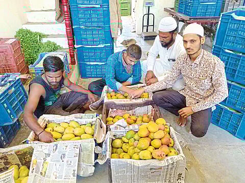 लॉकडाउनमुळे आंबा व्यावसायिकांना फटका; रमजान ईद, अक्षयतृतीयेला किरकोळ विक्री