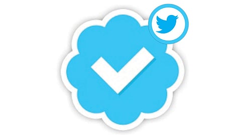 Blue Tick