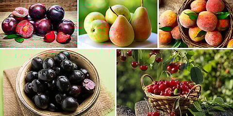 Monsoon Fruits : पावसाळ्याच्या दिवसांमध्ये कोणते फळ खावे?