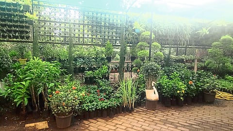 nursery