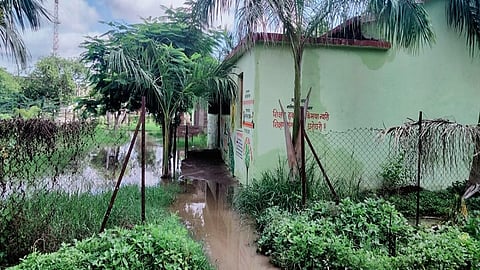 ढोरकिन (ता.पैठण, जि.औरंगाबाद) येथील जोगेश्वरी वसाहतीतील जिल्हा परिषद प्राथमिक शाळेसमोर पाण्याचे डबके तयार झाले आहे.