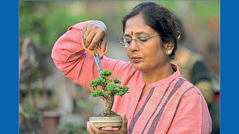 Bonsai with Prajakta Kale