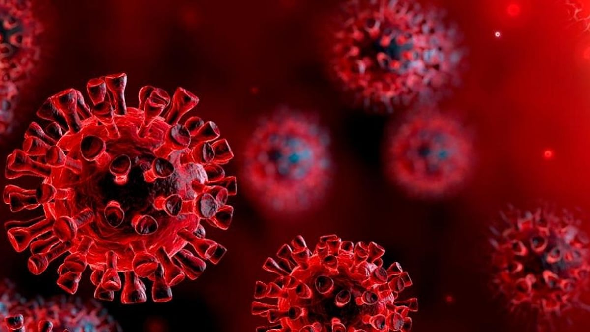 Caution! Before the new year, Corona started to fear again, cases of variant JN-1 suddenly started increasing, warning issued in many cities