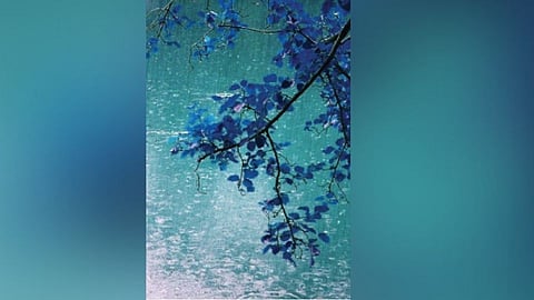 श्रावणात घननिळा बरसला