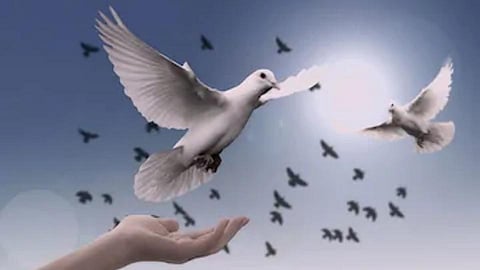 International Peace Day : जाणून घ्या आंतरराष्ट्रीय शांतता दिन का साजरा केला जातो!