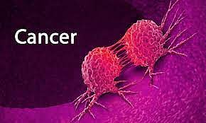 कर्करोग 