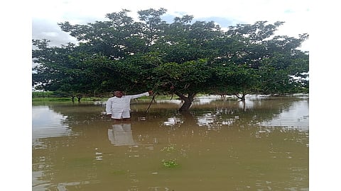 परभणीत जोरदार पाऊस झाला आहे.