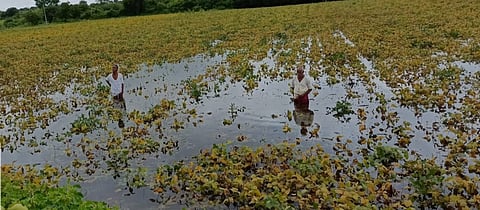 नुकसान