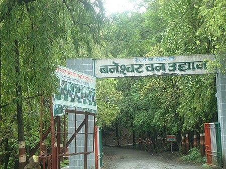 बनेश्वर