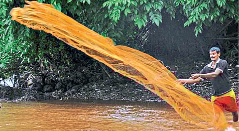‘तारली’ने तारले होतेय इतिहासजमा