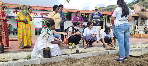 दररोज ताजी फळे मिळण्यासाठी १५० रोपांची लागवड