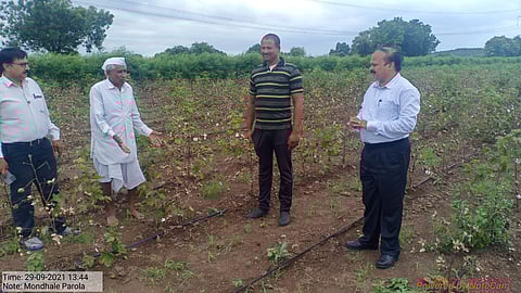 Cotton Crop Damage