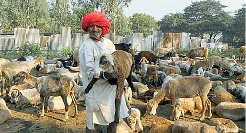 लढा धनगर समाज आरक्षणाचा