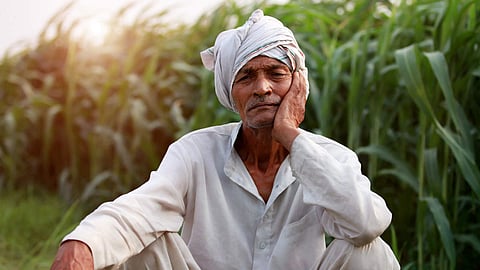 Farmer