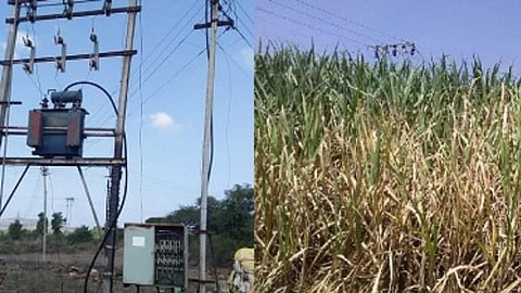 शेतकऱ्यांना आता आठ तासच वीजपुरवठा!