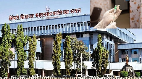 pimpri chinchwad vaccine