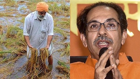 Farmers expect help from government