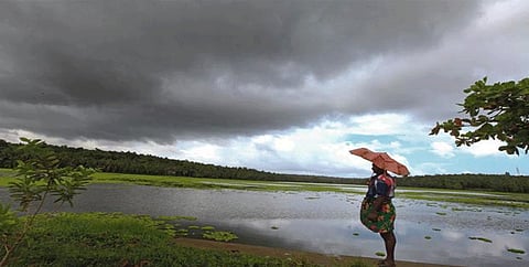 IMD : राज्यात विजांच्या कडकडाटासह पावसाची शक्यता
