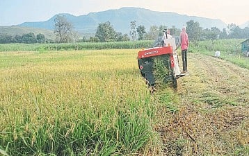  पाटणमध्ये खरीप उत्पादनात घट