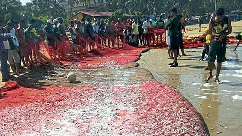 मासेमारीवर वादळाची वावटळ