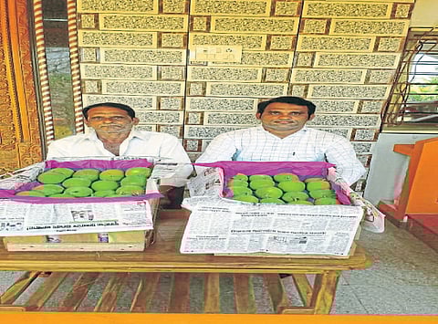 हापूसची पहिली पेटी मालवणातून रवाना