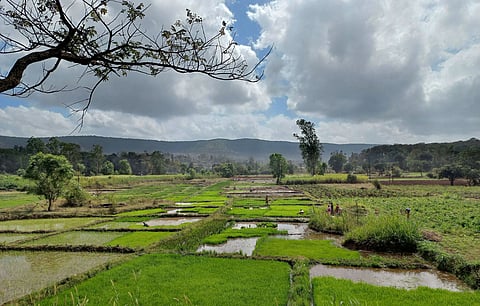 पाहा कोल्हापुरातील नयनरम्य फोटो