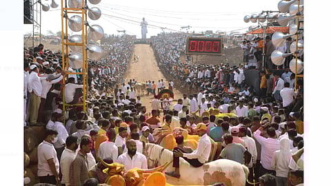 Bullockcart Competition