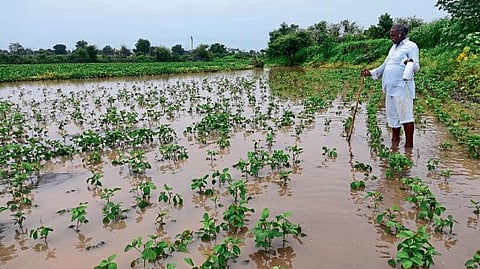 अतिवृष्टीग्रस्तांसाठी मिळाली ३३ कोटी ८३ 