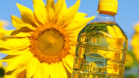 Sunflower Oil