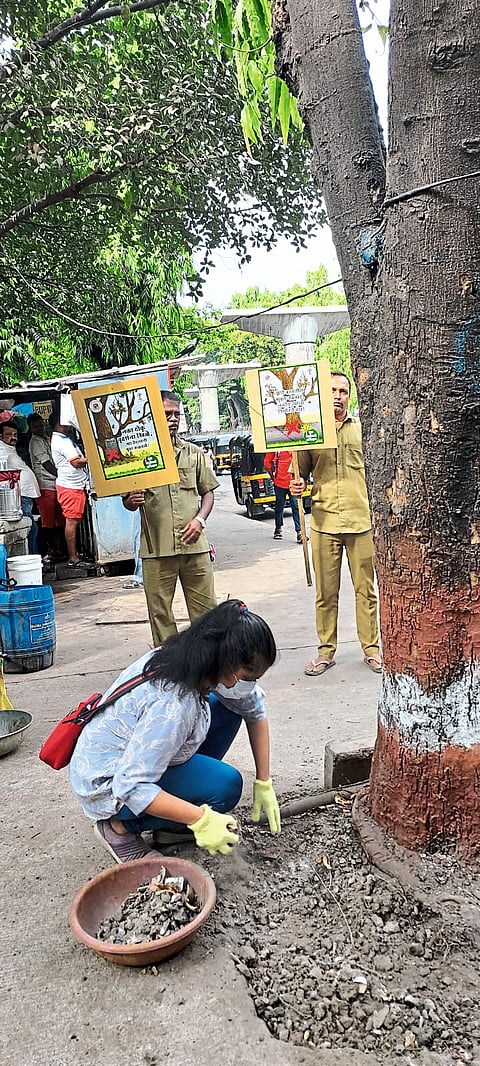 मुंबईतील ९८३ वृक्ष काँक्रिटमुक्त