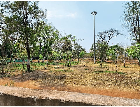उद्याने उदंड मात्र सर्वांचीच दुरवस्था

बारामती शहरातील बागांची परिस्थिती; नगरपालिकेचे दुर्लक्ष