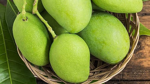 mango