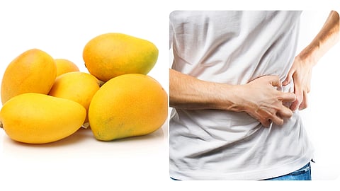 प्रश्नोत्तरे