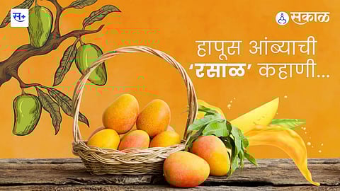 Alphonso