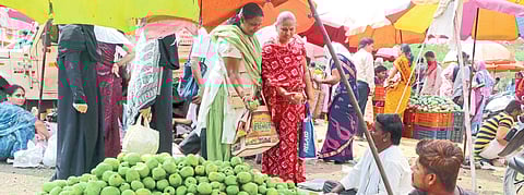 Ladies shopping in market for raw mangoes for pickle