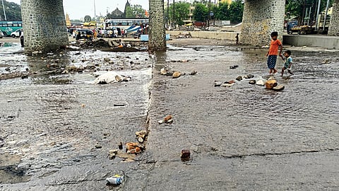 Godavari river
