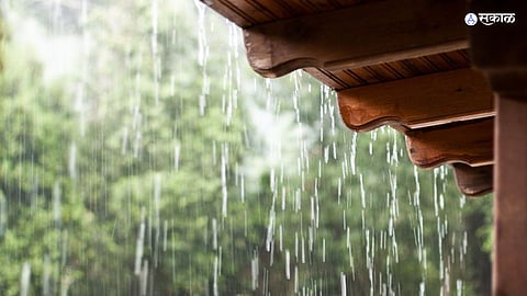 rain